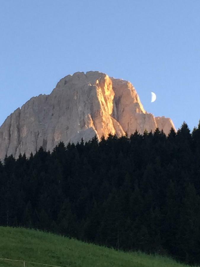 Hotel La Montanina Selva di Val Gardena Dış mekan fotoğraf
